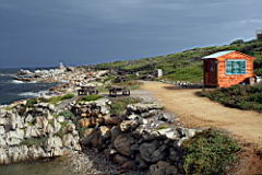 bettys bay IMG_1938.JPG